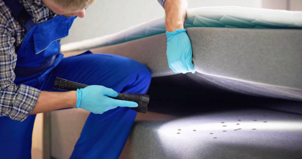 Best Emergency Pest Control  in La Cienega, NM
