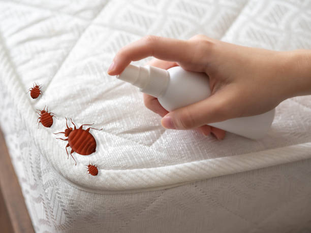 Pest Control for Restaurants in La Cienega, NM