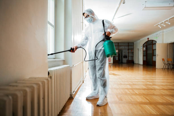 Best Pest Removal Services  in La Cienega, NM