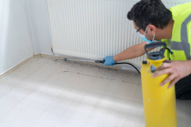 Best Commercial Pest Control Services  in La Cienega, NM